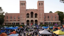 ucla