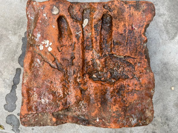 An ancient brick with finger marks in Topra Kalan village in Haryana’s Yamunanagar district. Sidhartha Gauri