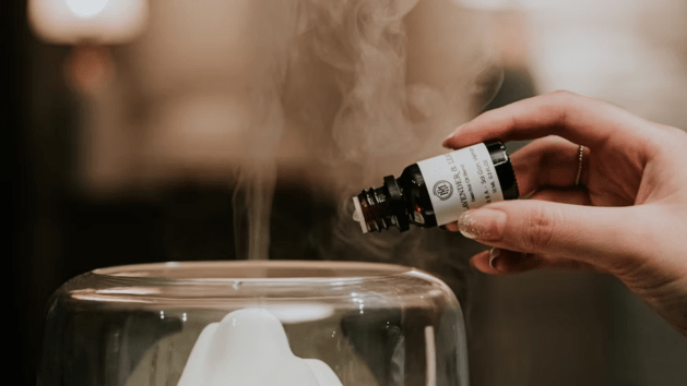 wellness, steam