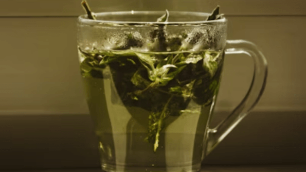 wellness, green tea