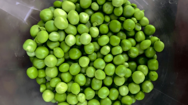 food. Green Peas
