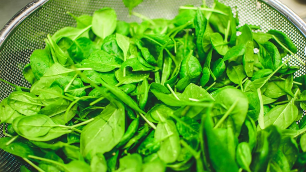 food, wellness