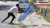 Rules & rulings on stray dogs