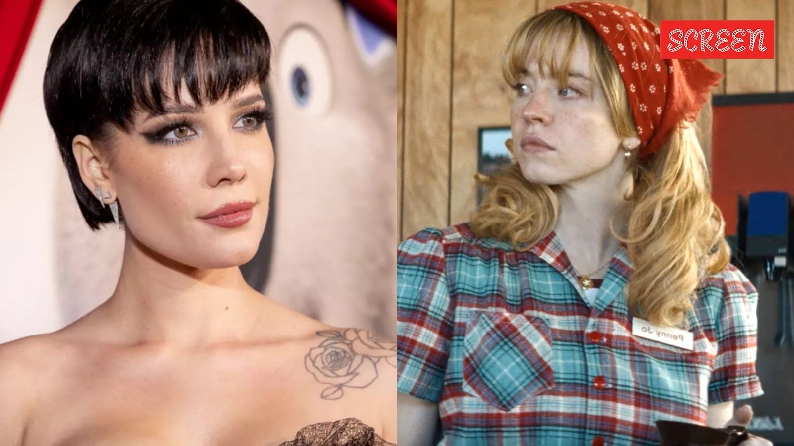 ‘Internet’s garbage losers’: Sydney Sweeney’s co-star Halsey and comedian Matt Rife slam fans for boycotting Americana over denim drama