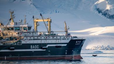 Antarctica