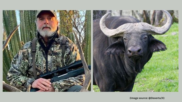 Asher Watkins was with a professional hunter and a tracker at the time of the attack (Image source: @Dexerto/X)