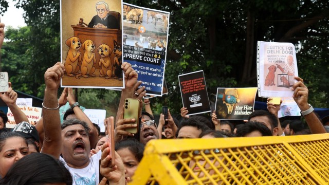 Protests over SC stray dog order: Delhi Police lodges 4 FIRs, two for assault on cops