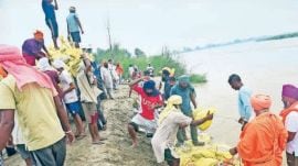 Villagers strengthen the Beas embankment in Sultanpur Lodhi on Sunday.