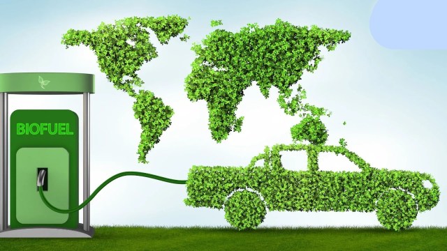 biofuel enzymes, biofuel, enzymes, BioE3 policy, active pharmaceutical agents, pharmaceutical companies, COVID-19 pandemic, biofoundries, Indian express news, current affairs