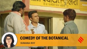 In 'Panchayat', the bottle gourd goes from minor comic indulgence to election symbol