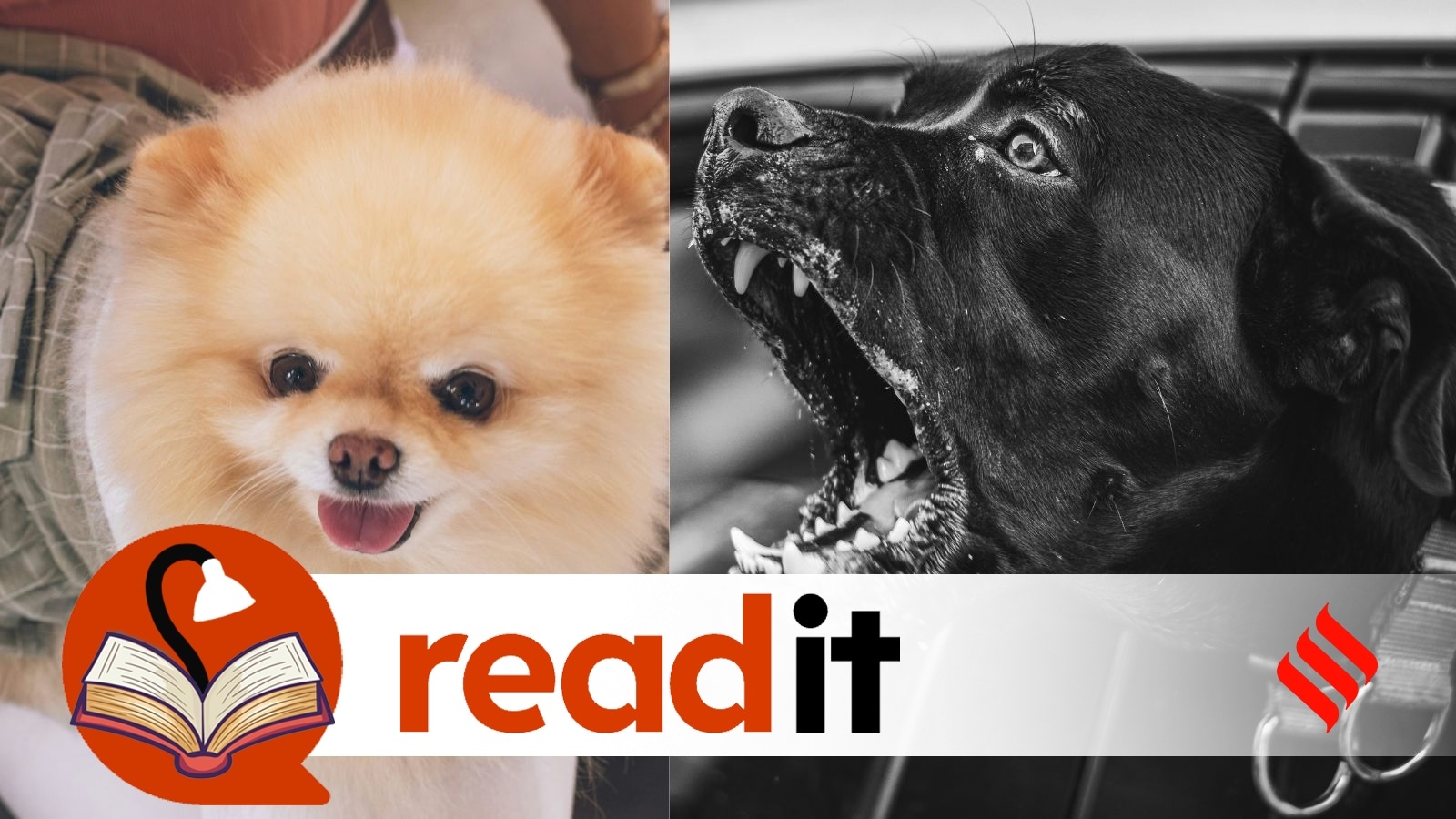 From loyal pets to menacing monsters: How dogs feature in famous books