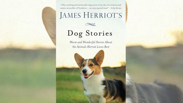 Dog Stories is a wonderful compilation of just how happily humans and dogs can live in harmony, caring for and often saving each other.