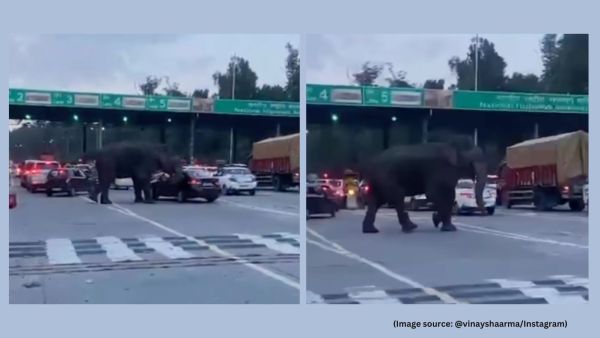 The viral video captures the driver managing to escape without injury by quickly speeding away (Image source: @vinayshaarma/Instagram)
