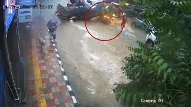 A hydraulic crane was deployed to remove the tree and clear the road, police said.