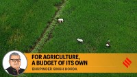 Protection serves a purpose, but it is reform that will ultimately secure our agricultural future, and for this, the Rashtriya Kisan Kalyan Kosh, a separate budget like defence, is the need of the hour.