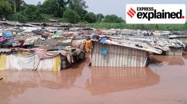 Ghaggar river flooding