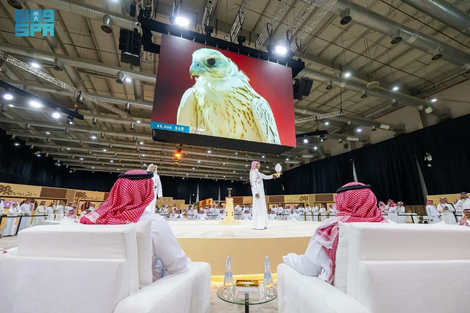 Slovenian Falcon Sells for Record Price at Saudi Auction