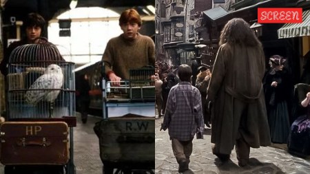 Harry Potter