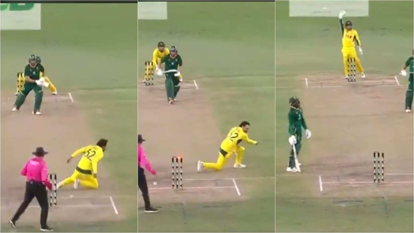 WATCH: Travis Head accounts for bizarre run out of Prenelan Subrayen in 1st AUS vs SA ODI