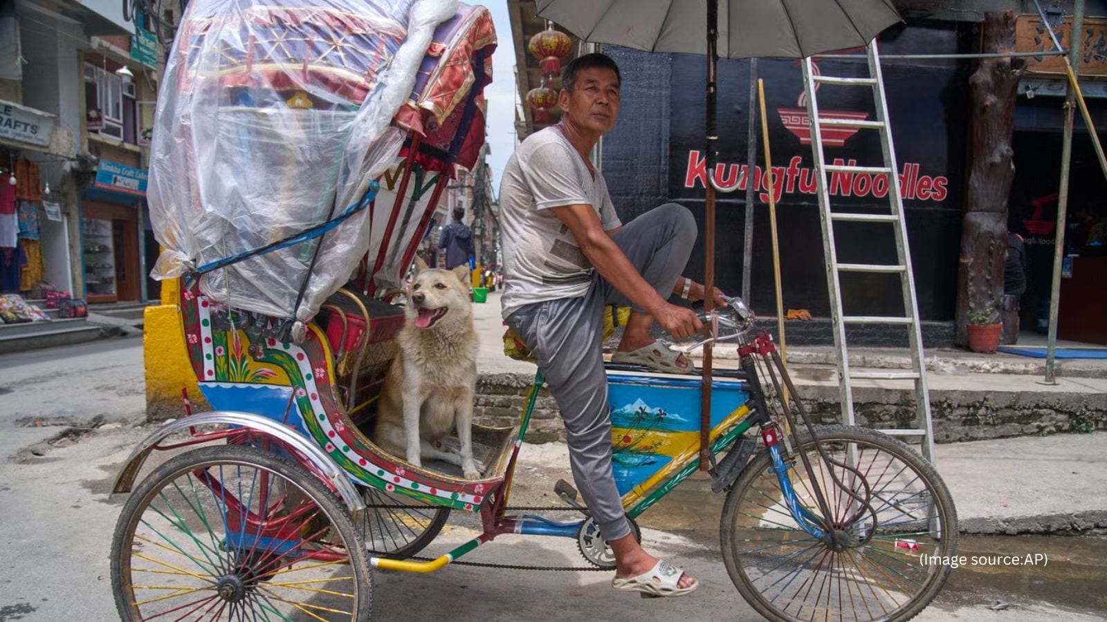 Kathmandu cycle-rickshaw driver's dog Shyam