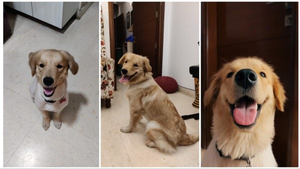 Zurie and her many moods. (Photographer: Trishila Roy)