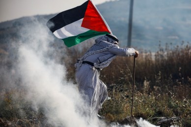 Germany says no plans to recognise Palestine