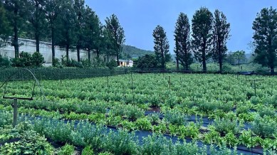 Parth farms