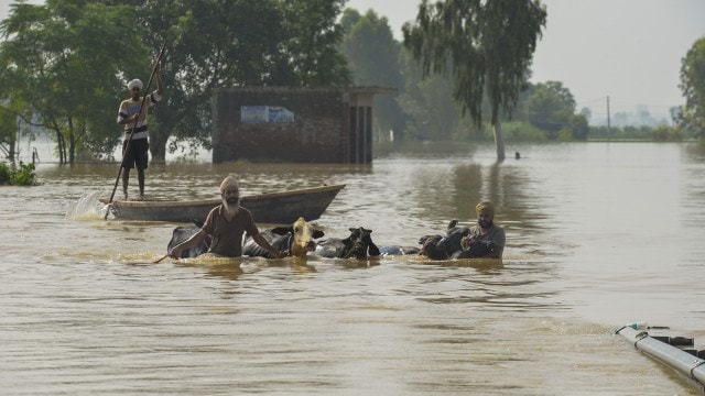 Punjab deluge: 6,600 rescued; all-terrain vehicles out in Amritsar