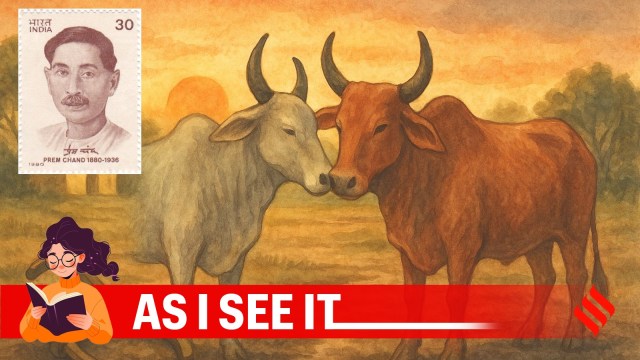 An image of Hera and Moti from Premchand's story Do Bailon Ki Katha