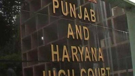 Punjab and Haryana High Court, Narcotic Drugs and Psychotropic Substances, ndnps, Indian express news, current affairs