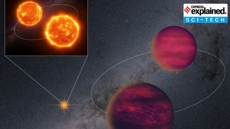 brown dwarf