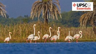 wetland, Ramsar CoP15
