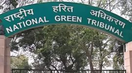 Out of the four new expert members, two are Indian Forest Service Officers – Sudhir Kumar Chaturvedi, retired principal chief conservator of forest, Gujarat, and Ishwar Singh, retired principal chief conservator of forest, Delhi.