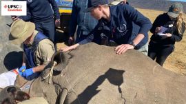 UPSC Essentials | Mains answer practice — GS 3 (Week 115)