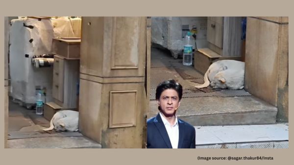 Shah Rukh Khan's sea-facing house is one of the most-visited tourist spots in Mumbai and is often in the spotlight as fans gather outside it to take photos and videos. (Image source: @sagar.thakur84/Instagram)