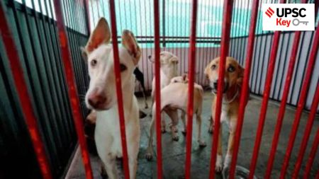 upsc key, stary dogs, supreme court judgement