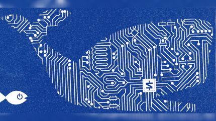 While India finds its footing, the global tech landscape is being reshaped by dramatic developments in the US. In recent weeks, the Trump administration has unveiled two major initiatives — on AI and cryptocurrency — that symbolise a novel approach to techno-politics. (C R Sasikumar)
