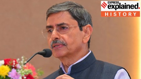 What R N Ravi's criticism of linguistic states misses