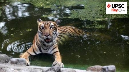 tiger corridors, upsc key,