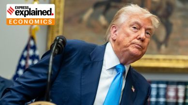 Trump McEntarfer data