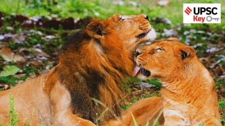 UPSC Key: Asiatic lion, RCEP and Azerbaijan and Armenia peace agreement