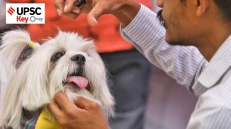 UPSC Key: Brain-eating amoeba, Animal blood bank network and Sustainable aviation fuel