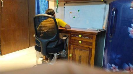 One common myth is that only bites from visibly sick or aggressive dogs can cause rabies.