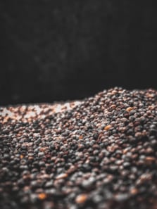 Millets Are the New Superstars: 8 Dishes You Must Try