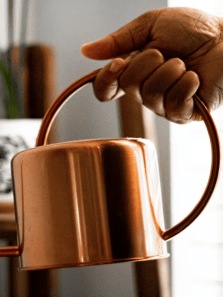 Copper, Clay, and Brass: Do Traditional Vessels Impact Your Health?