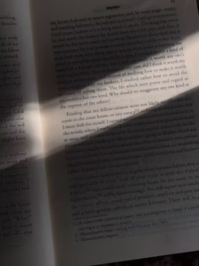 Books That Make You Ruminate In Your Melancholy