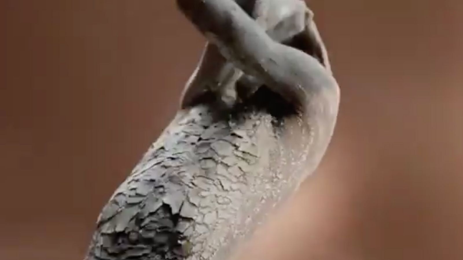 Sanex Ad Banned for Suggesting Racial Skin Bias