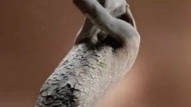 The advertisement, which aired in June, showed a Black model with red scratch marks on her skin and another with a cracked, clay-like texture. (Screengrab from video shared by @JamesEsses/X)