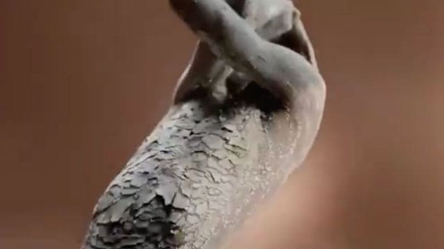 The advertisement, which aired in June, showed a Black model with red scratch marks on her skin and another with a cracked, clay-like texture. (Screengrab from video shared by @JamesEsses/X)