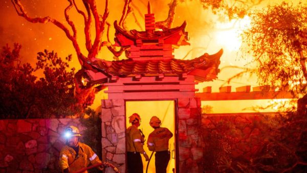 UPSC Mains 2025 Revision Checklist: Top 15 Environment and Geography topics aspirants shouldn’t miss